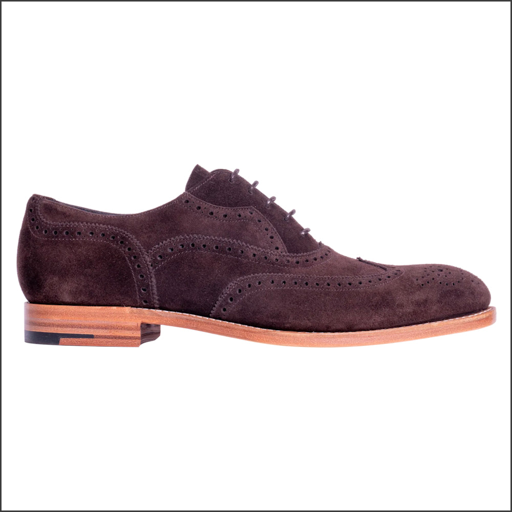 Barker Bladen - Bitta Choc Oxford Brogue/