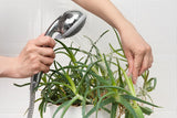 Washing leaves