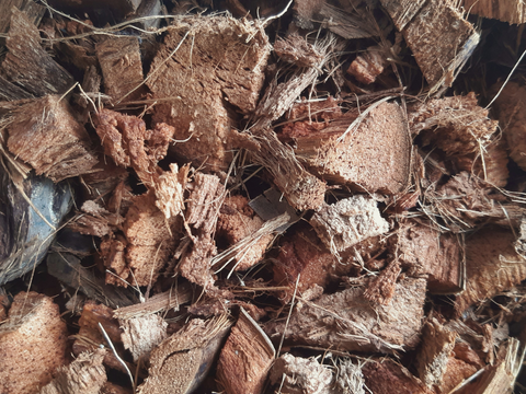 Coco Coir Chips | Premium Aroid Mix Recipe