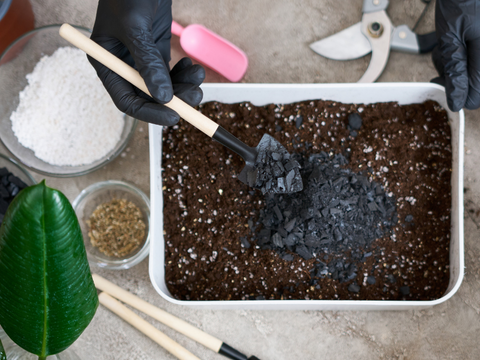 Mixing Houseplant Soil | Premium Aroid Mix Recipe