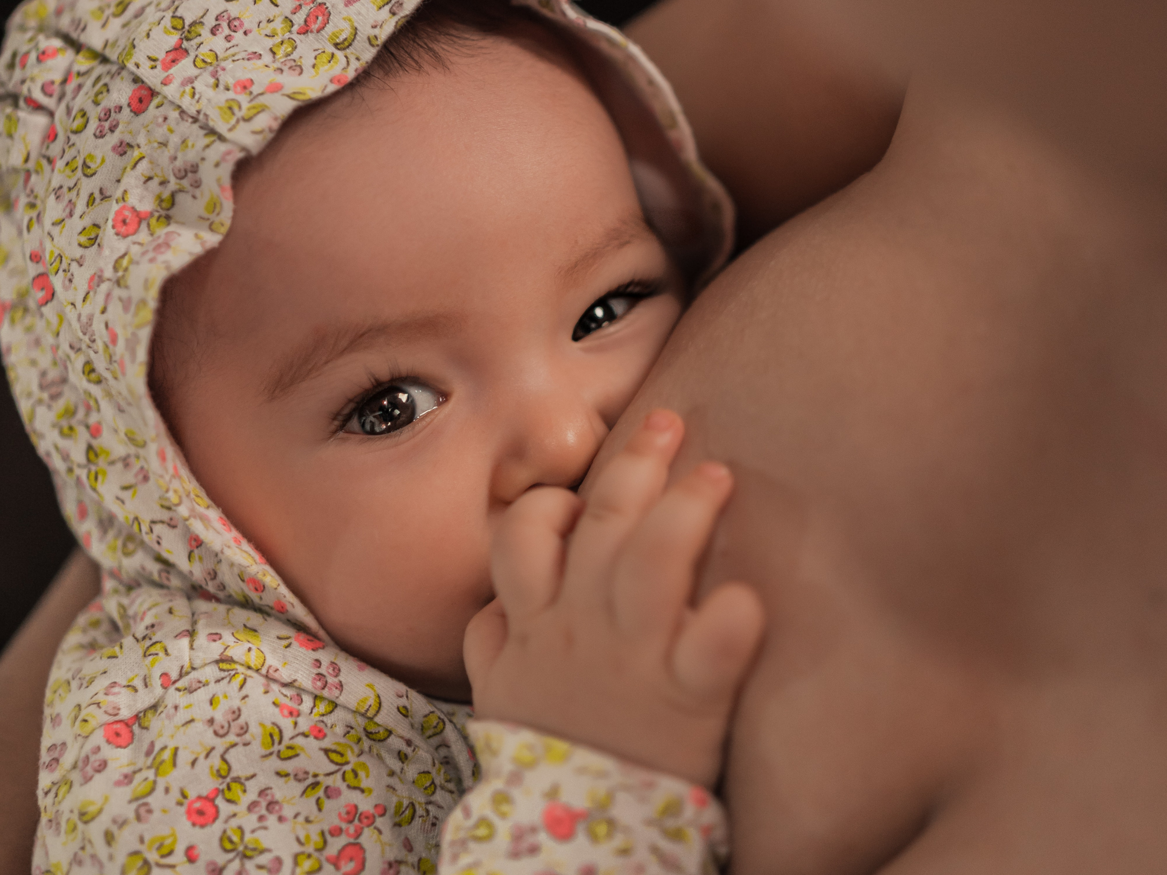 It Shouldn't Hurt to Nurse Your Baby: Healing the Six Most Common Causes of  Nipple Pain