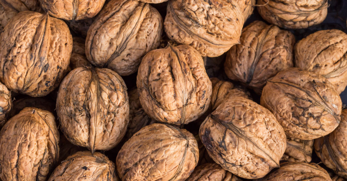 Close up of a bunch of unshelled english walnuts