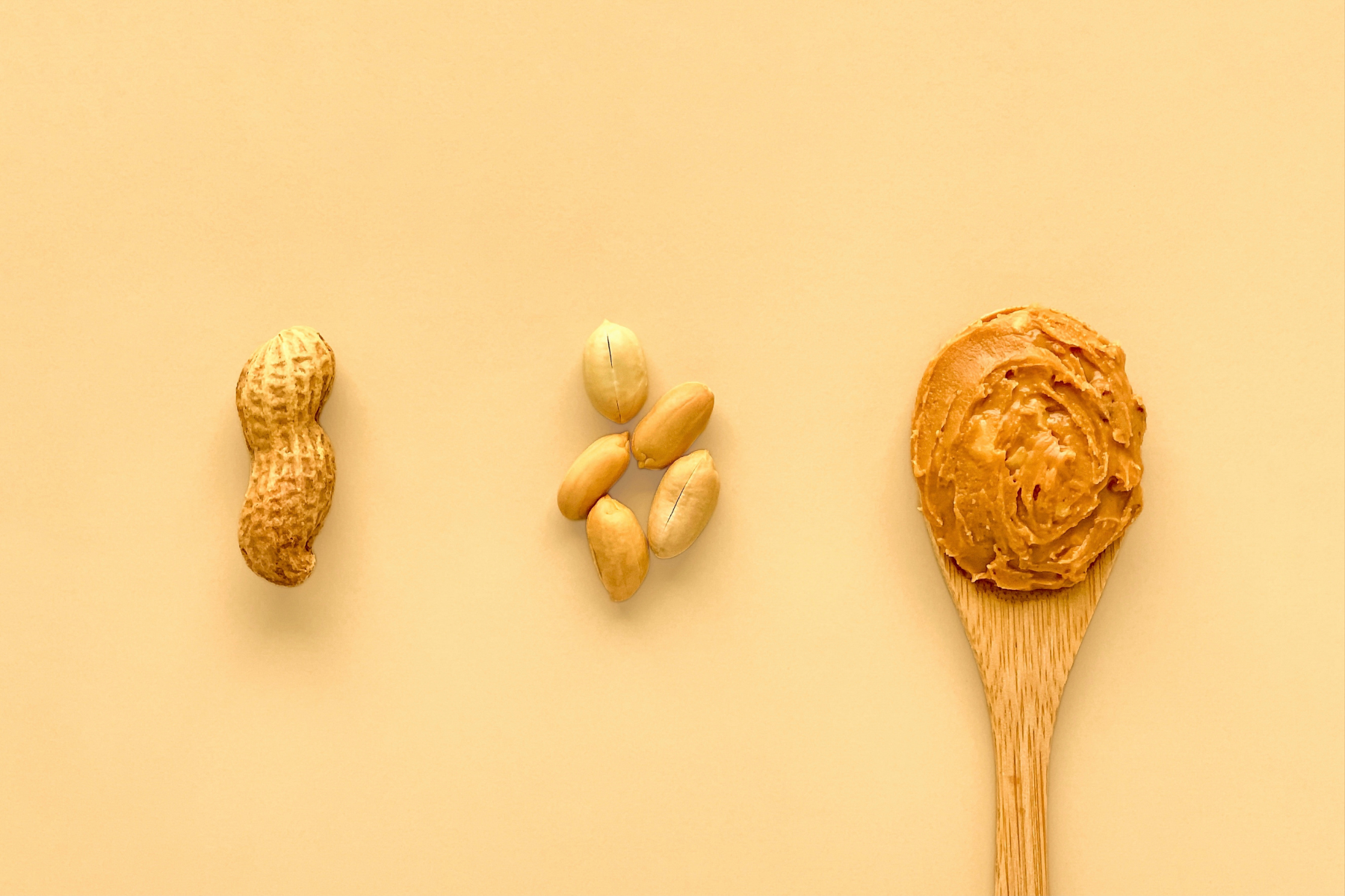 A close up of a wooden spoon of peanut butter next to two small bundle of peanuts, one shelled and the other unshelled.