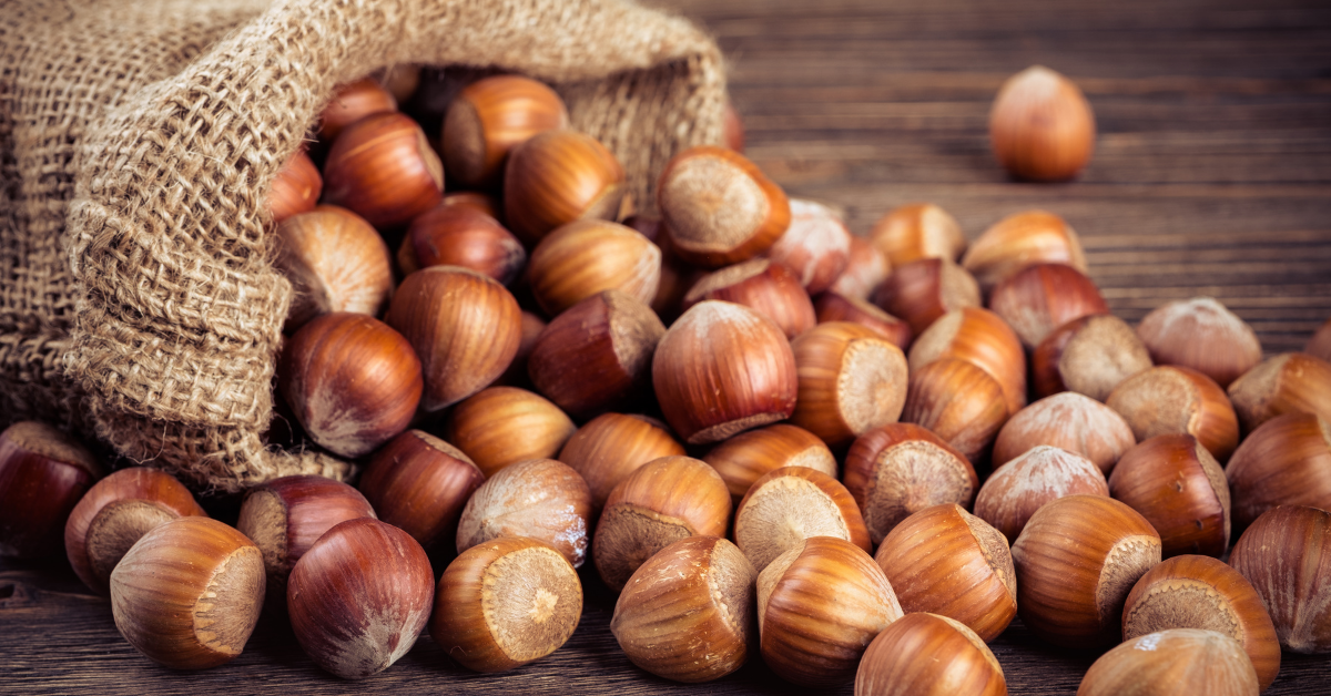 everything you need to know about hazelnuts