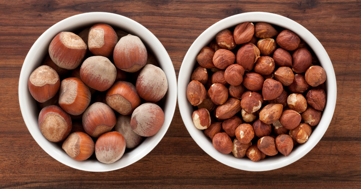 what's the difference between filberts and hazelnuts