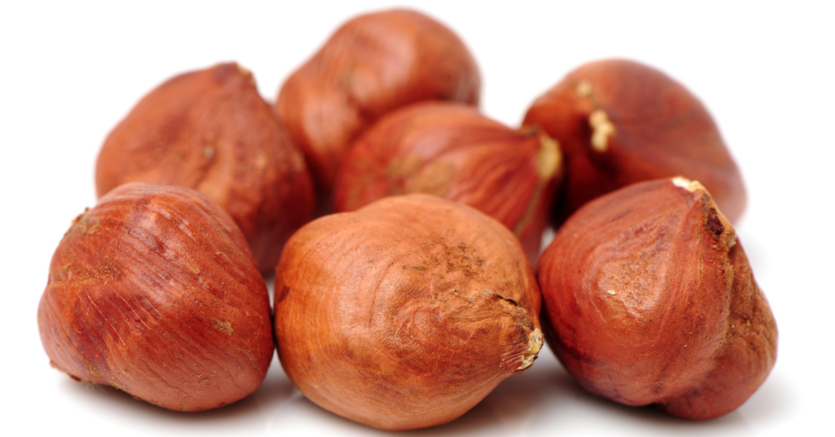 what are hazelnuts