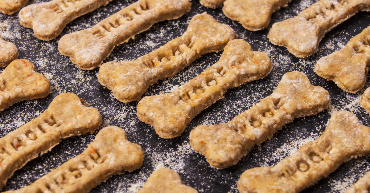 homemade dog treats 