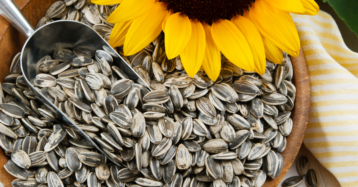 wooden bowl of sunflower seeds in shell with a silver scoop and a sunflower resting in the bowl