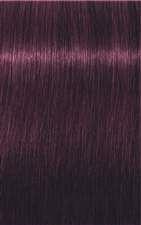 zoals dat Steken Seminarie Schwarzkopf Igora Royal - 6-99 Dark Blonde Violet Extra – Salon Beauty  Brands