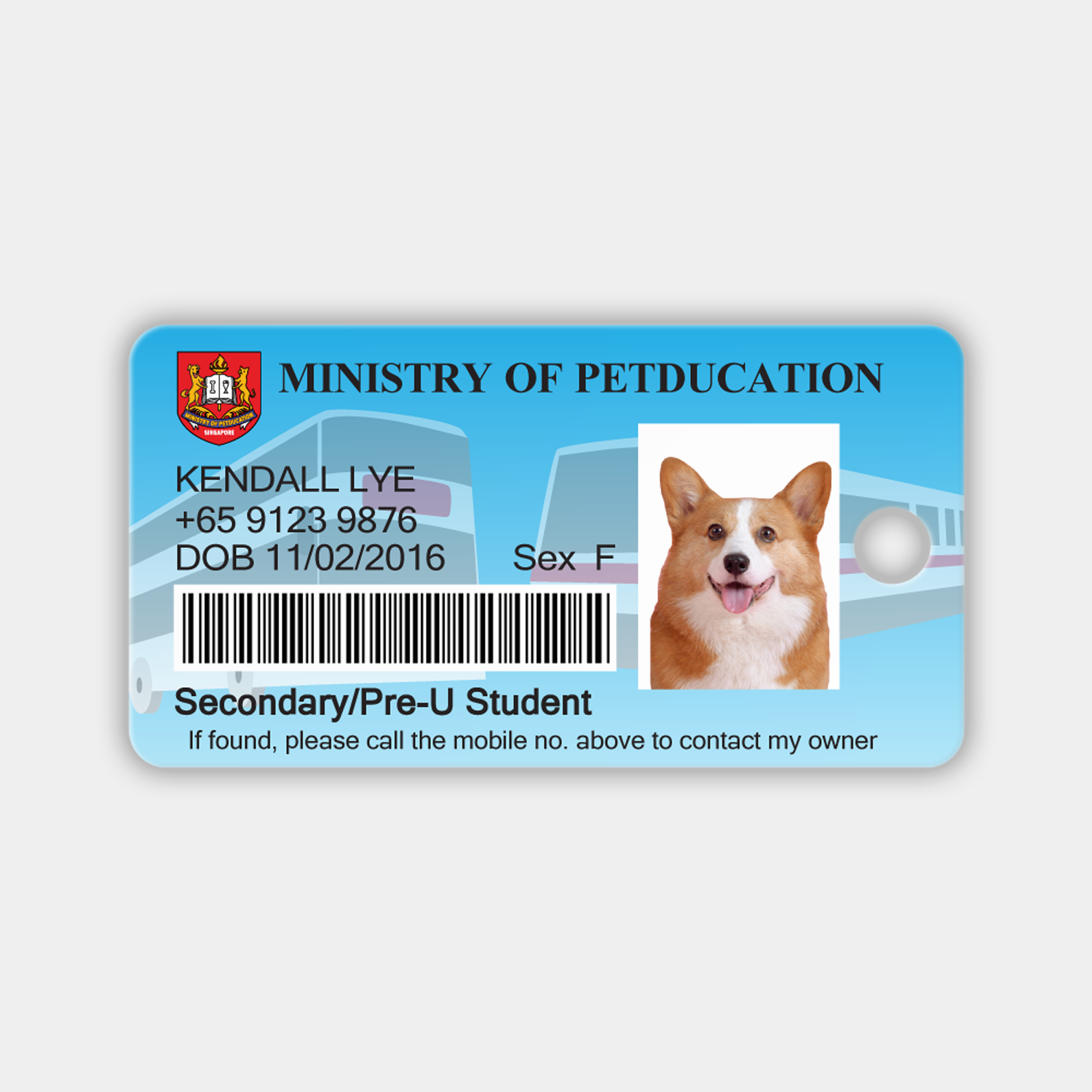 Customised Petducation Secondary Pre U Student Pass Ez Link Inspired Pet Id For Dogs And Cats Pawdigy