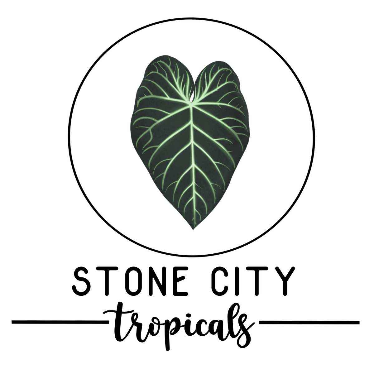 Stone City Tropicals