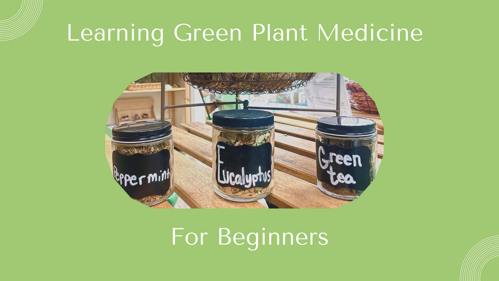 Learning Green Herb Plant Medicine for Beginners