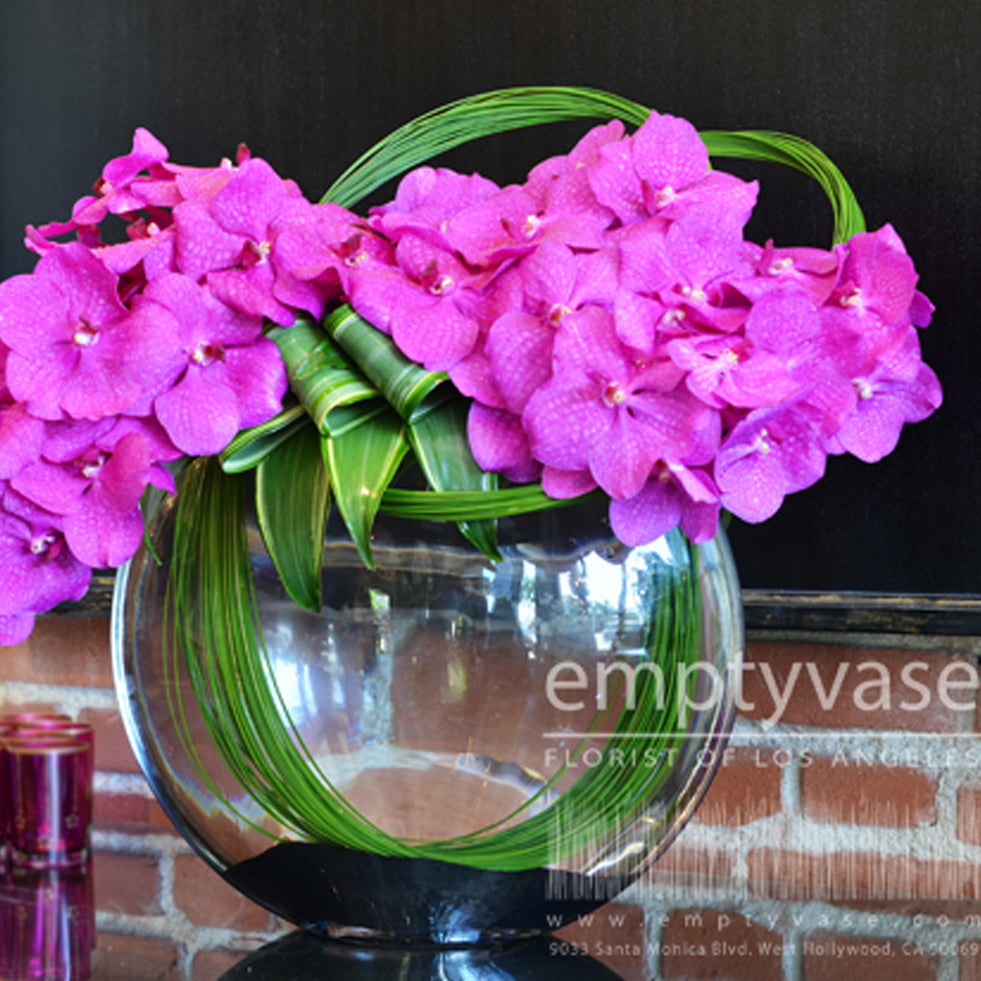 Empty Vase - Purple Vanda Orchid Sphere - Same Day Flower Delivery