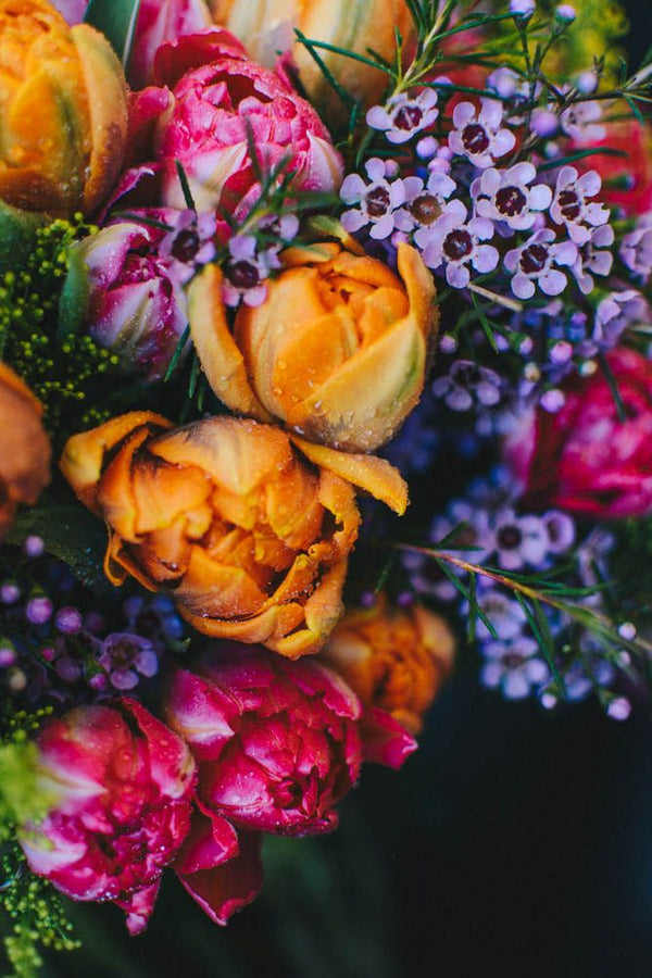 Empty Vase - Tulip Tango - Same Day Flower Delivery