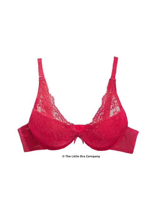 Dakota Red Snake Embroidered Balconette Bra- Red