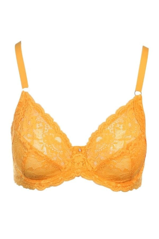 Greta Graphic Lace Underwire Bra