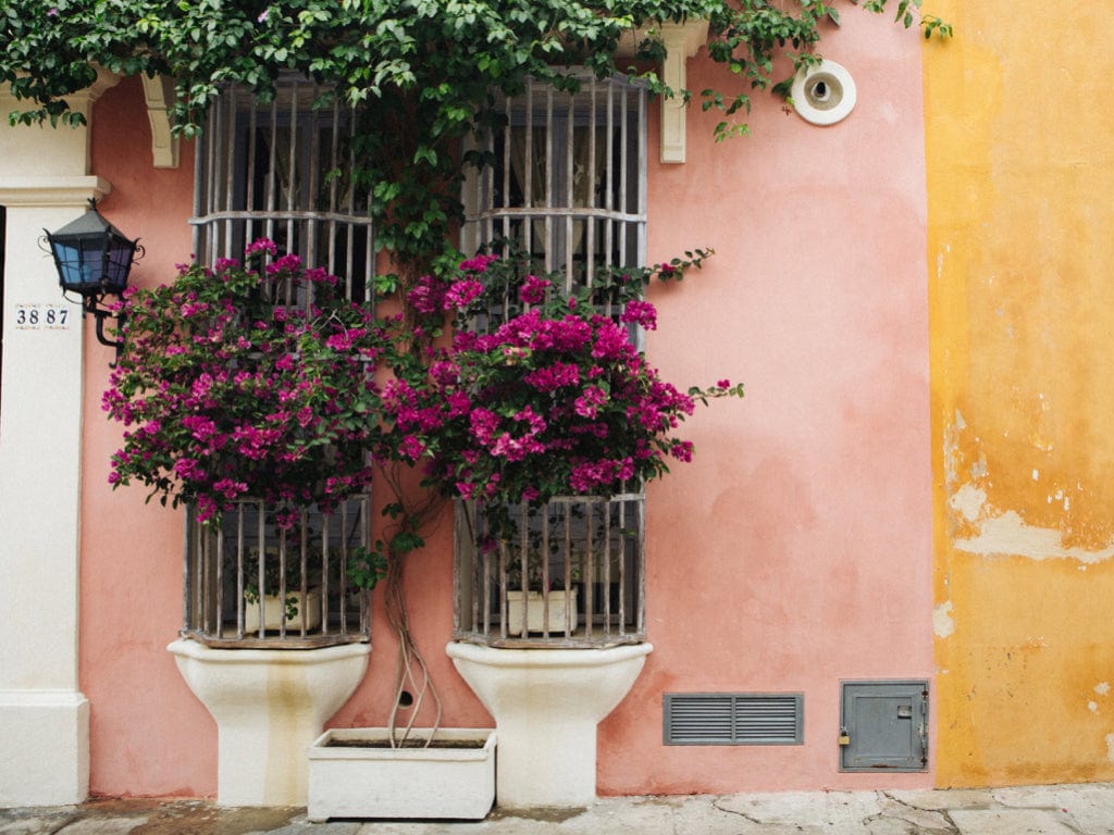 The Cartagena Guide image