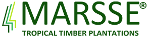 MARSSE Tropical Timber Plantations