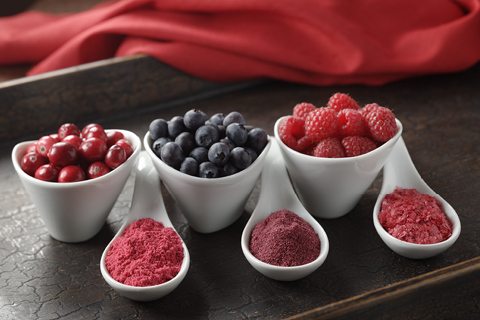 Dried Fruit Powders