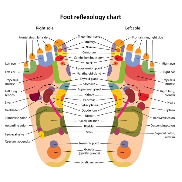 Main Pressure Points on Our Feet & What They Mean | Cloud Massage