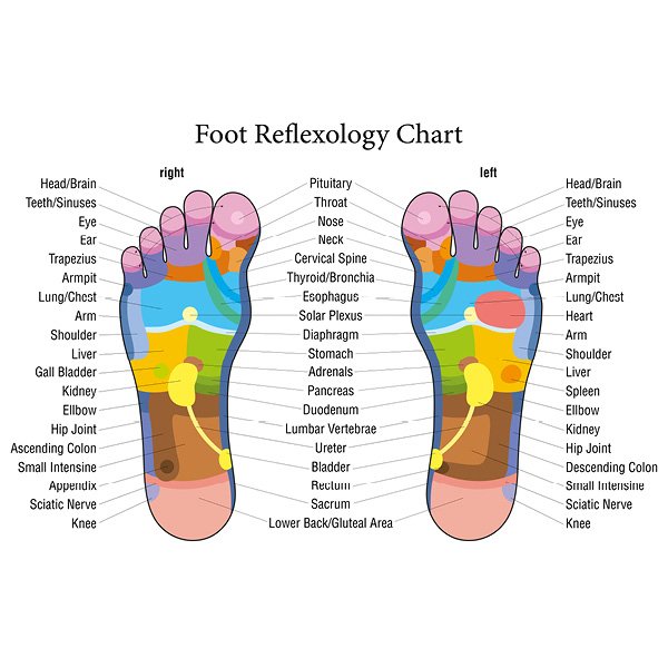 Foot Reflexology Chart | Cloud Massage