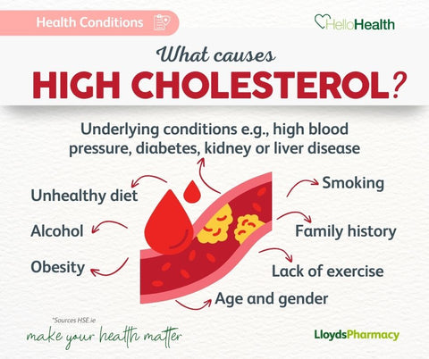 infographic-high-cholestrol