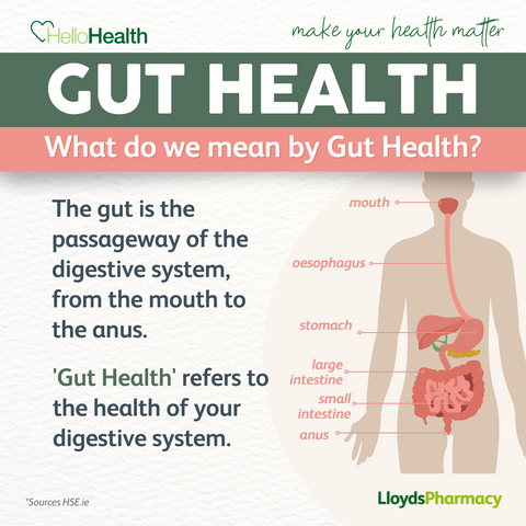 infographic-gut-health-blog