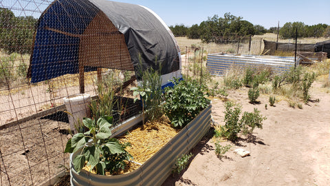 off grid high desert garden