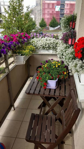 2.1. Idei de amenajare a balconului cu flori mic (2)