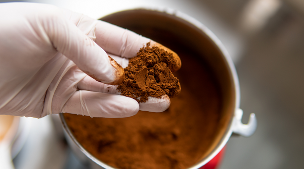 Chaga extract powder