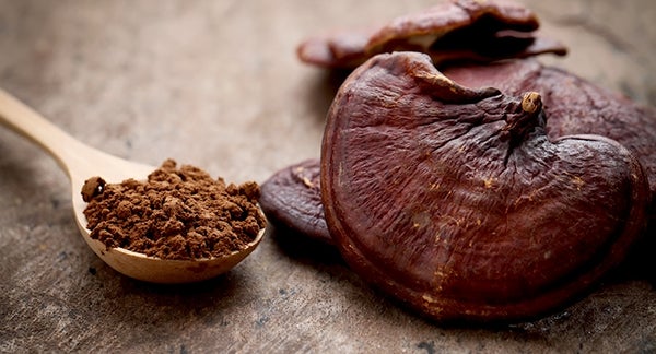 ganoderma health benefits