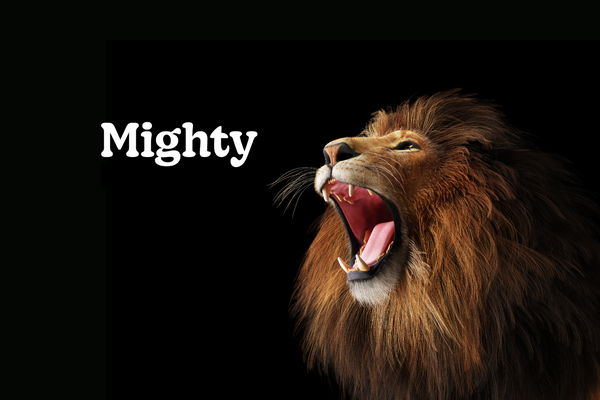 Mighty_you