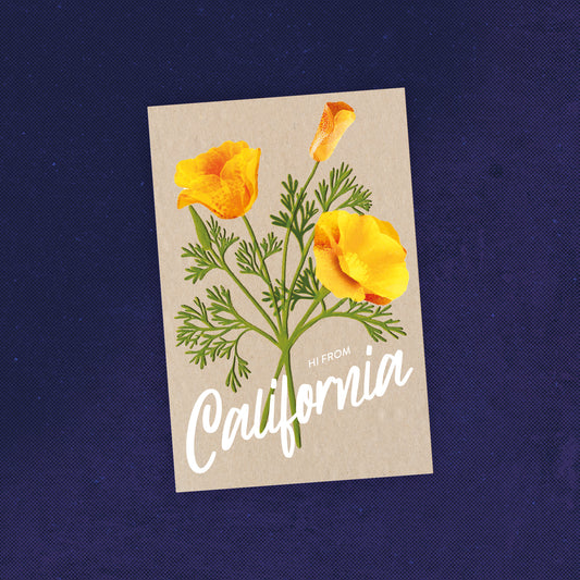 California Postcard – Bear & Poppies – Alenarieca Design Studio