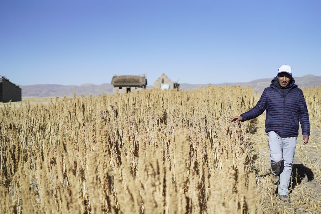 SIMPLi Quinoa Farms Peru