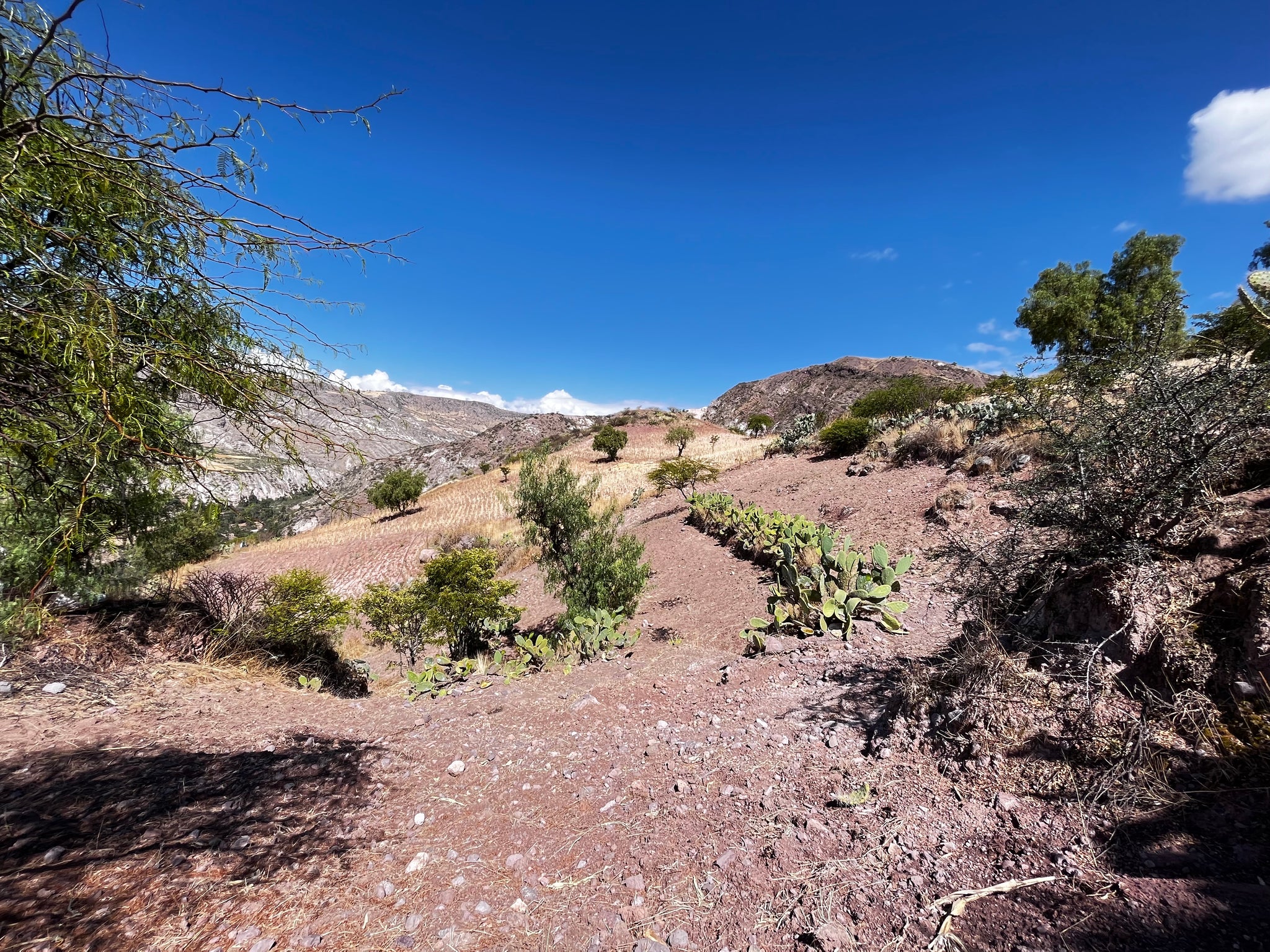 SIMPLi Andean Valleys