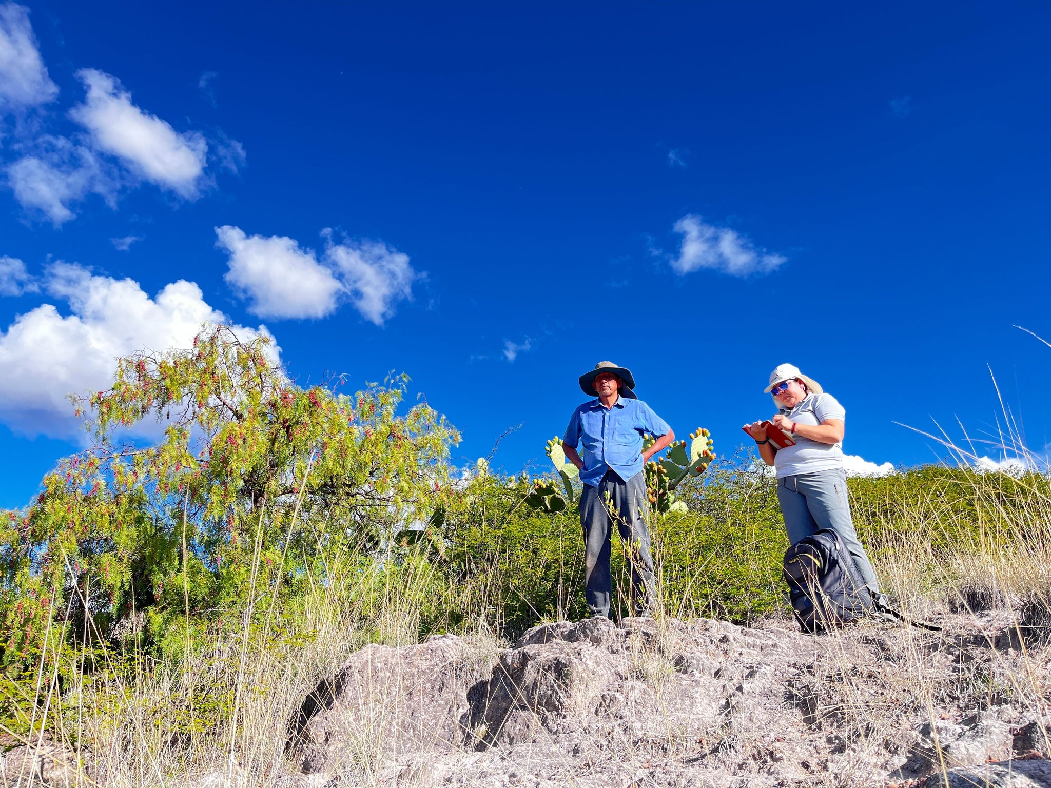 Regenerative Agriculture