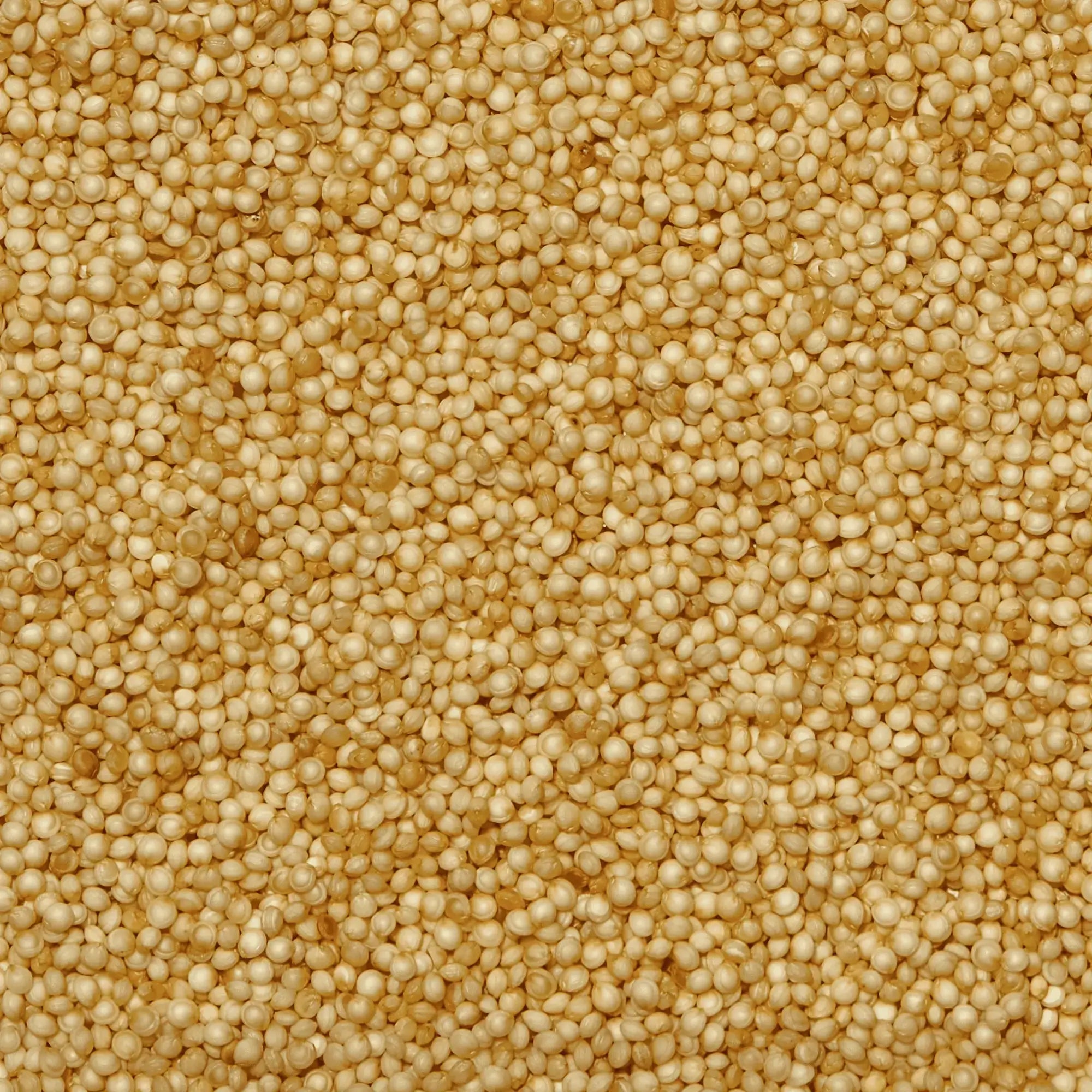 SIMPLi AMARANTH