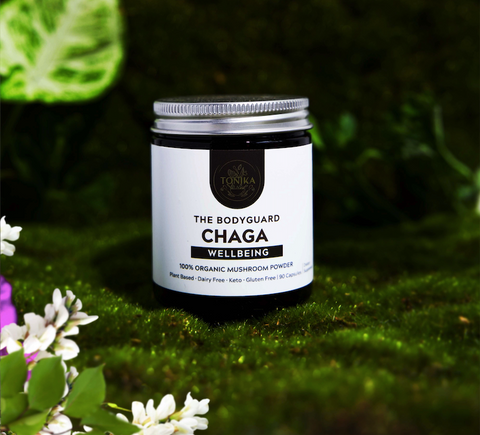 Chaga Mushroom Capsules