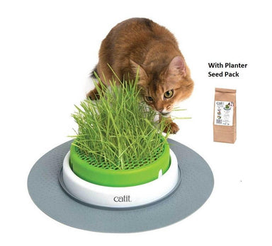 Nerf Catnip Disc Blaster Cat Toy, Small, Pack of 3