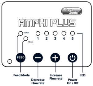 Amphi Plus