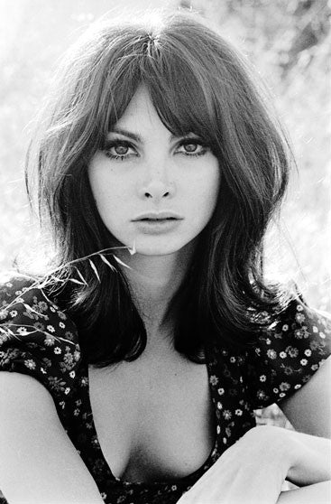 toni basil easy rider