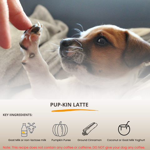 Puppuccino: The Coffee Alternative For Healthy Dogs