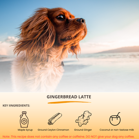 BARKRISTA Recipes: Gingerbread Latte