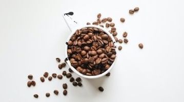 Exploring Coffee: Types, Flavors & Aromas | Wabilogic