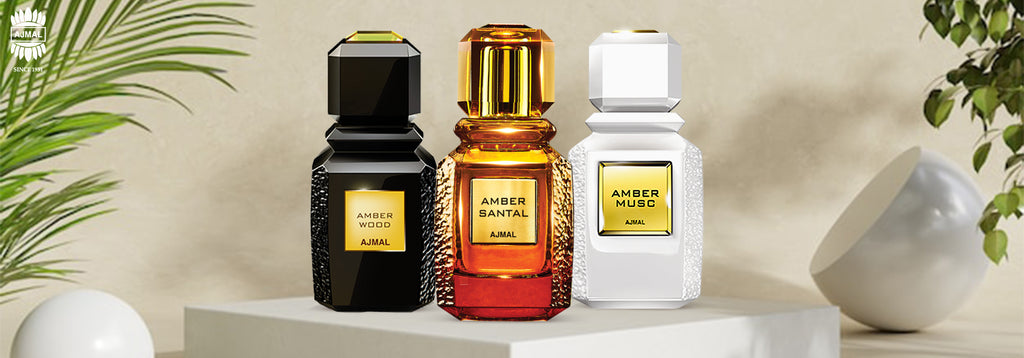 amber signature collections