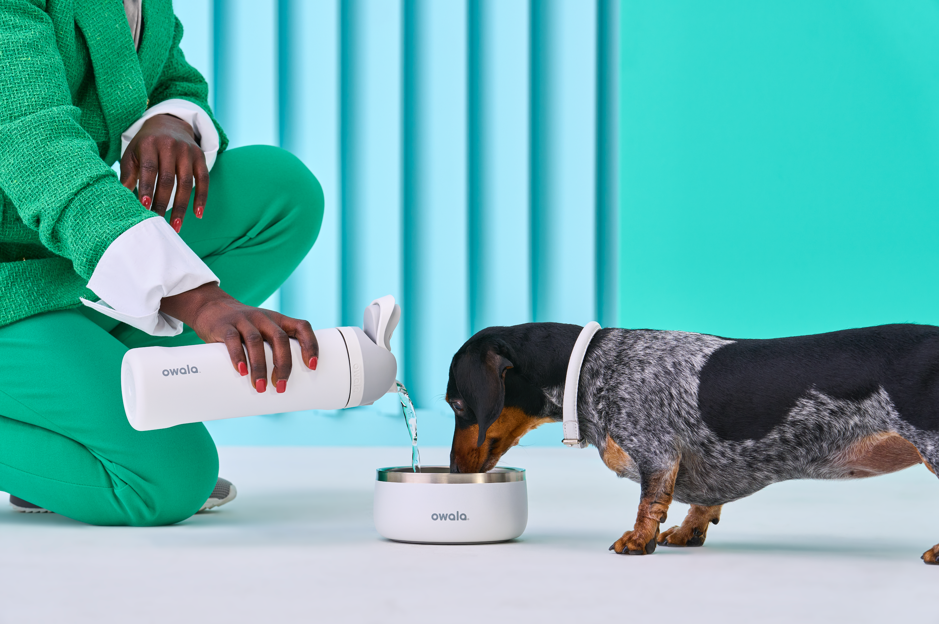 Person with an Owala bottle and a pet bowl and a dog