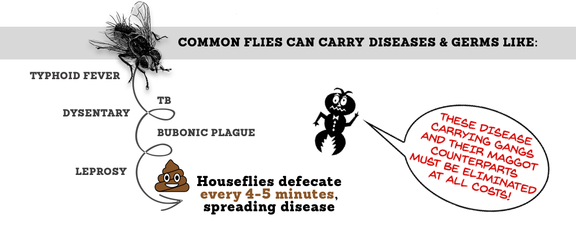 Common Flies Can Carry Diseases & Germs Liuke: Typhoid Fever, TB, Dysentary, Bubonic, and Leprosy. Housefiles defecate every 4-5 minutes, spreading disease.