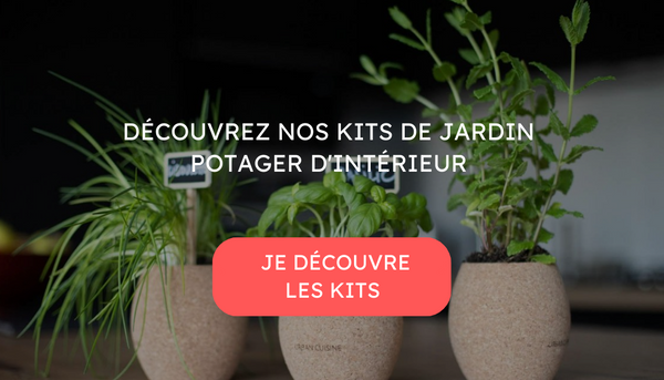 Potager d'intérieur DIY : nos 18 idées sans rien dépenser