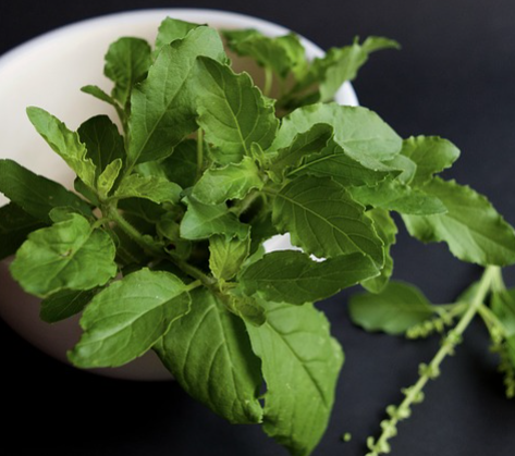 thai basil recipe