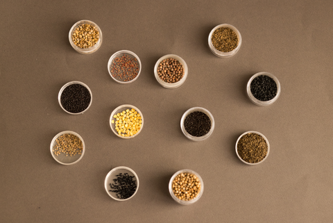 Graines à semer : comment bien les choisir ?